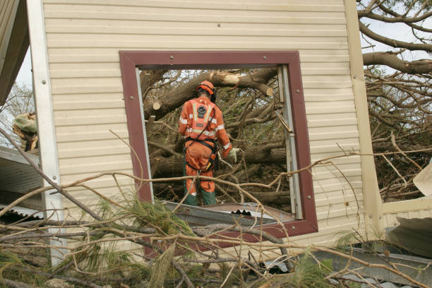 Reliable Lincoln Center, KS Tree Care Services Solutions